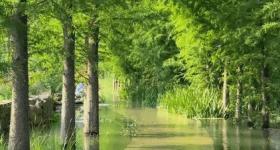 藏在郑州的 “水上绿野仙踪”，你还没去过吗？