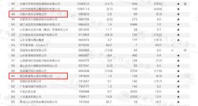河南4家企业上榜！2024年中国连锁百强名单公布