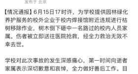 清华大学回应“张爱玲教授被树砸身亡”：已启动问责程序