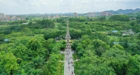 夏至来了 广东可体验“立竿无影”