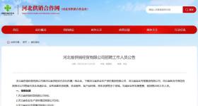 700人竞聘1个岗位，无笔试只安排4人面试，涉事公司回应