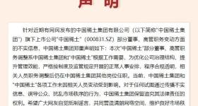 中国稀土集团辟谣：部分董事、高管职务变动系正常人事安排