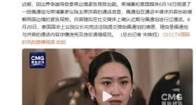 遭停职泰国总理将提申辩