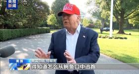被鳄鱼、蟒蛇包围！美国移民拘留设施“鳄鱼恶魔岛”正式启用