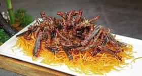 这类肉比鸡鸭鱼肉更有营养，但是很多人没吃过！