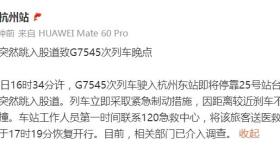 一旅客突然跳入股道，与列车发生碰撞！铁路杭州站通报