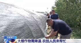 河南启动重大气象灾害高温四级应急响应