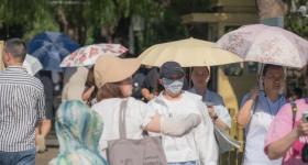 预约到底有多难？我们走访了国博、故宫