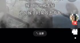 峨眉山“人猴大战游客坠崖”？景区回应