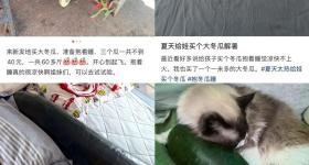 “抱冬瓜睡觉”突然走红，医生紧急提醒