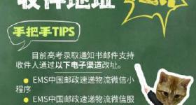 9个手把手tips，让你稳稳收到通知书
