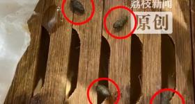 吃到最后发现“老鼠屎”？知名餐饮被曝光，品牌致歉