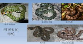 转扩！河南公布31家配备抗蛇毒血清医院名单