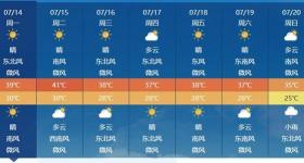 河南71地超40℃！为何体感近50℃？专家否认瞒报高温