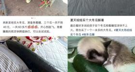 突然火了！20多斤一个，一天卖25吨！“没现货，要预订”