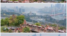 重庆网红景点“莲花茶摊”停业整治，此前因多个问题被投诉