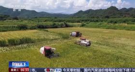 热热热~高温橙色预警继续 多地上线避暑妙招送清凉