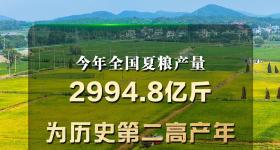 夏粮稳产丰收 七大亮点看上半年农业农村经济