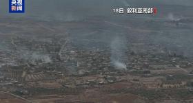 美国驻土耳其大使：以色列与叙利亚已同意停火