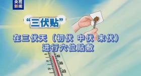 30天版“三伏天”来了！“三伏贴”到底能不能贴？
