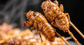 这种“夏季野味”很火爆，但不是人人能吃→