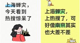 上海市民崩溃：今年的蝉为啥这么多