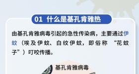 广东顺德确诊超2000例！基孔肯雅热如何预防？