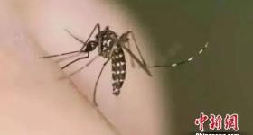 招蚊子是由血型决定的吗？