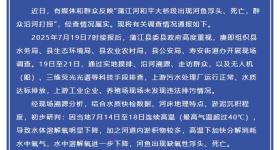 一河段现大量死鱼？四川蒲江凌晨通报：未发现违法排污