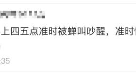 被尿滋了一脸？最近多人中招，实在崩溃！专家：今年是大年