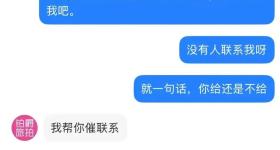 铂爵旅拍又接单了？总部员工：找外包团队