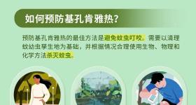 基孔肯雅热为何在今年夏天病例数上升？与这些因素相关