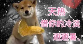 感觉身体被掏空？除了老板，高温也是“元凶”之一！
