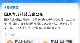 国家育儿补贴开启预约！入口公布