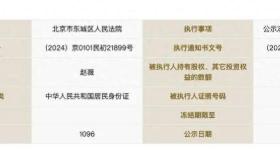 赵薇所持1590万元股权再被冻结