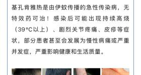基孔肯雅热“后遗症”到底怎么回事？如何预防？专家解答