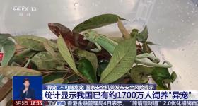 “异宠”不可随意宠 国家安全机关发布安全风险提示