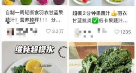 “羊都不吃”的羽衣甘蓝爆火：当健康焦虑正中资本下怀