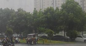 7月降水仅6毫米的河南驻马店下雨了