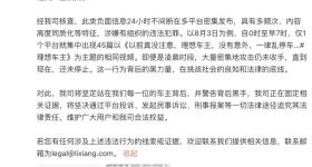理想汽车回应“车主被大量抹黑”：在固定证据 追究法律责任