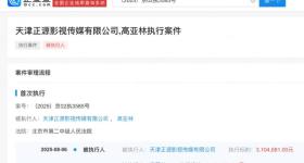 演员高亚麟及关联公司被强制执行310万余元