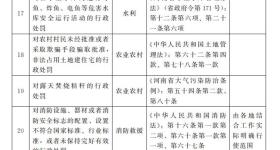 34项处罚权下放至乡镇街道！河南最新发文