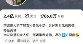东北雨姐账号10月解封？官方回应：整改到位可继续直播带货