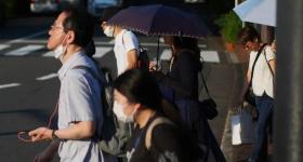 百日咳在日本大肆蔓延，卫生部门难以解释原因
