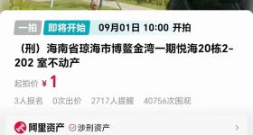 海南一套临海小区洋房将被1元起拍：评估价超200万元