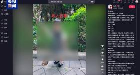 为博取网络关注编造“2岁女儿被抱走” 发布者被行拘