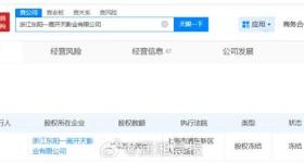 演员张翰被冻结165万股权，此前曾多次被起诉