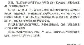 银川一学生拖拽揉捏流浪猫？涉事学校通报