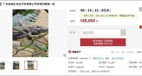 2500斤活鳄鱼被拍卖，法院：需自行抓捕
