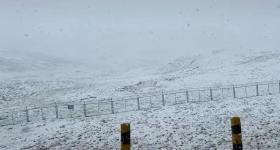 一地8月突降大雪！网友：能不能分点冷气给河南？